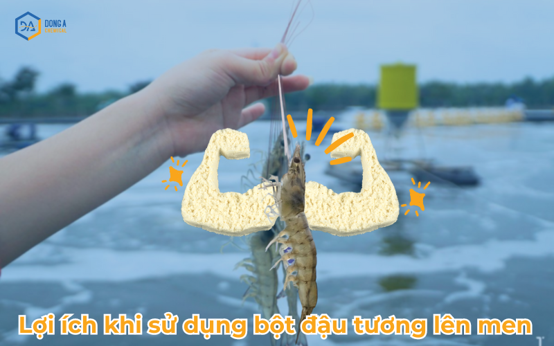 Lợi ích khi sử dụng bột đậu tương lên men cho tôm